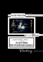 i'm not here for your entertainment eBook