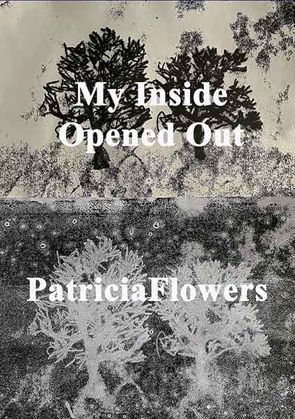 My inside opened out, poetry book