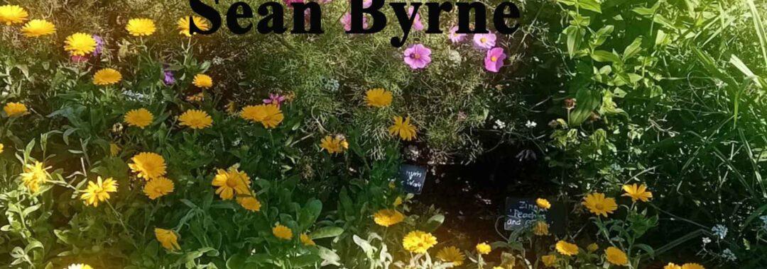 Open Mick’s Lyrical Bollards by Sean Byrne