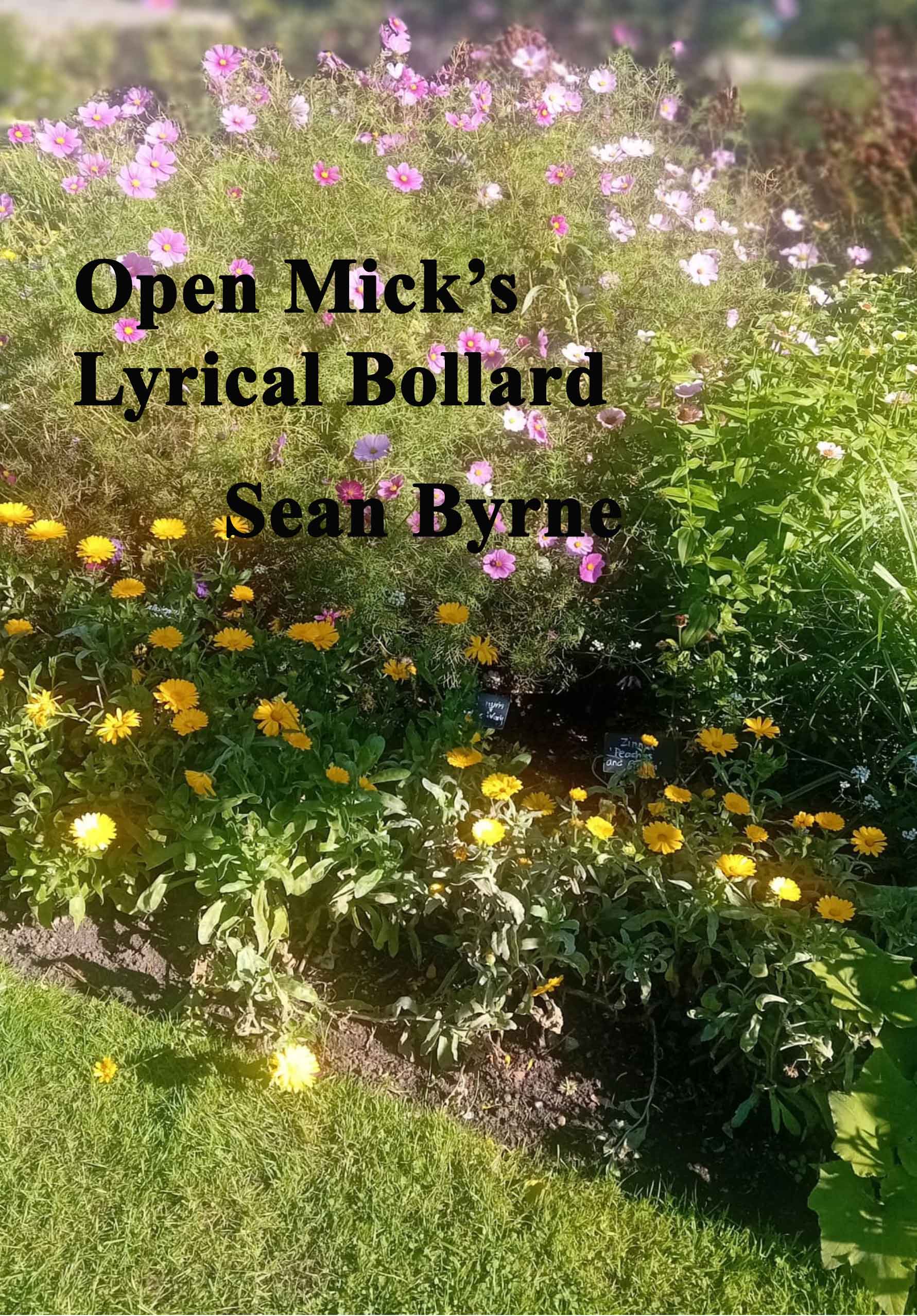 SEAN-B-frontCOVER-optomize New Authors. Paper Tiger Poetry - Open Mic